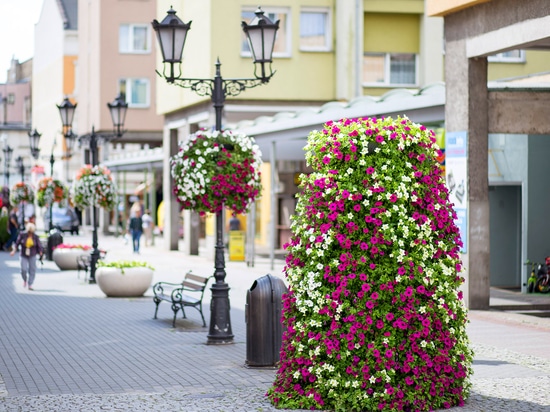 Tours de fleurs dans l'espace urbain : une verdure saisonnière à fort impact visuel