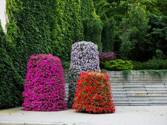 Tours de fleurs dans l'espace urbain : une verdure saisonnière à fort impact visuel