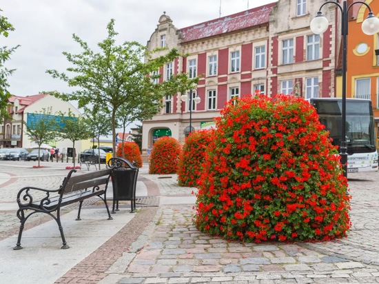 Tours de fleurs dans l'espace urbain : une verdure saisonnière à fort impact visuel