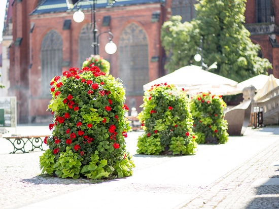 Tours de fleurs dans l'espace urbain : une verdure saisonnière à fort impact visuel