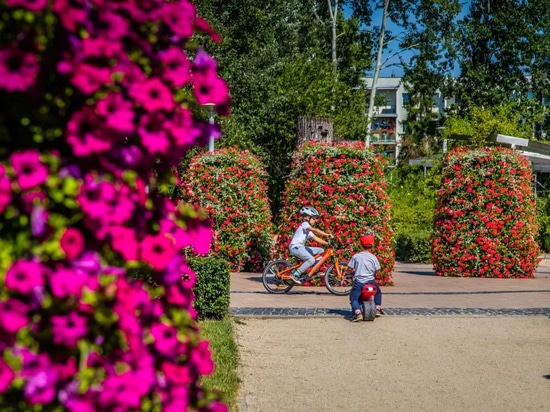 Tours de fleurs dans l'espace urbain : une verdure saisonnière à fort impact visuel