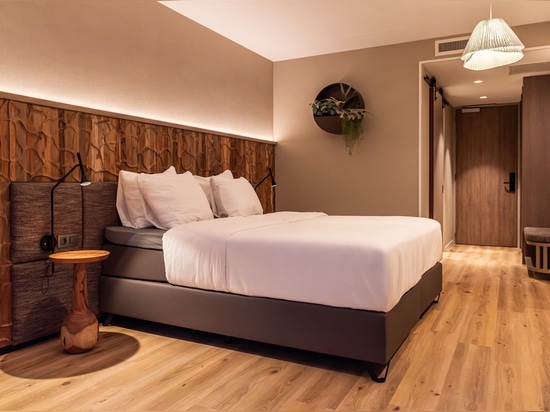 Dune et Canyon Teck - Strandhotel Duinoord