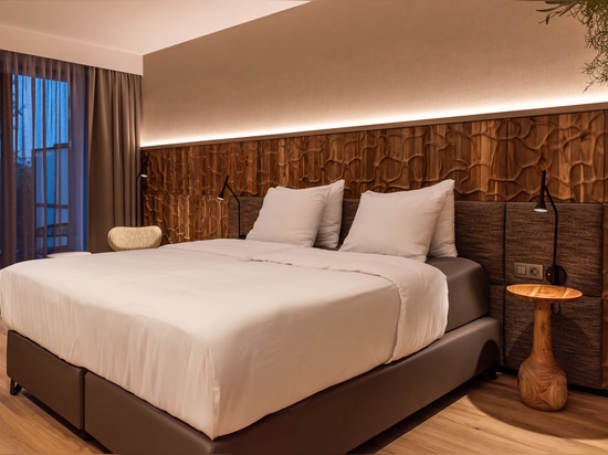 Dune et Canyon Teck - Strandhotel Duinoord