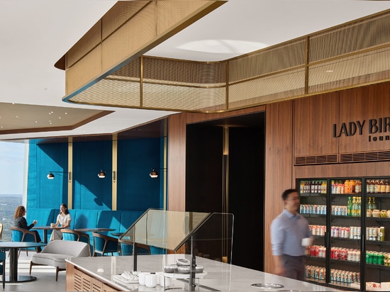 Grillage métallique décoratif installé dans l'aménagement intérieur d'une entreprise en tant que portique au-dessus d'un bar