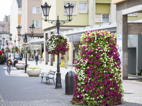 Plantation urbaine dans les espaces publics : verdure saisonnière pour les villes