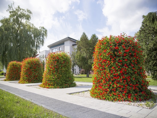 Plantation urbaine dans les espaces publics : verdure saisonnière pour les villes