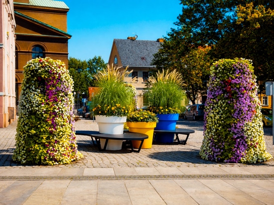 Plantation urbaine dans les espaces publics : verdure saisonnière pour les villes