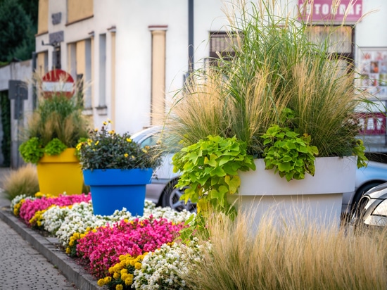 Plantation urbaine dans les espaces publics : verdure saisonnière pour les villes