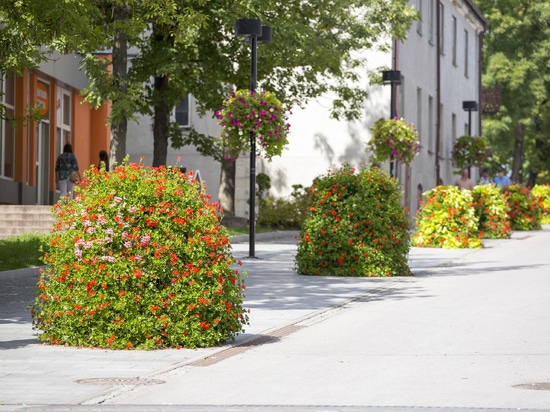 Plantation urbaine dans les espaces publics : verdure saisonnière pour les villes