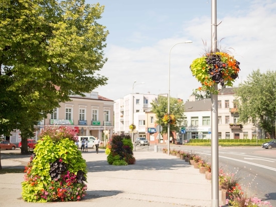 Jardinières suspendues pour les espaces urbains : verdure verticale pour les villes