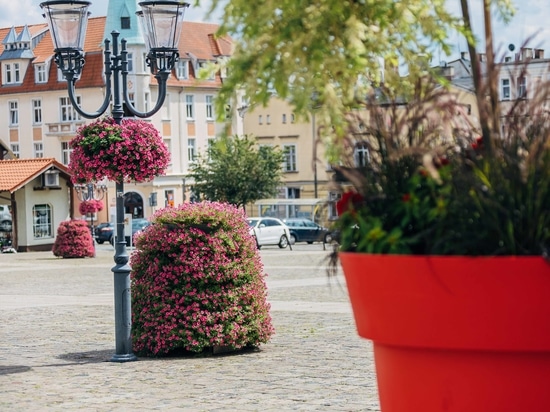Jardinières suspendues pour les espaces urbains : verdure verticale pour les villes