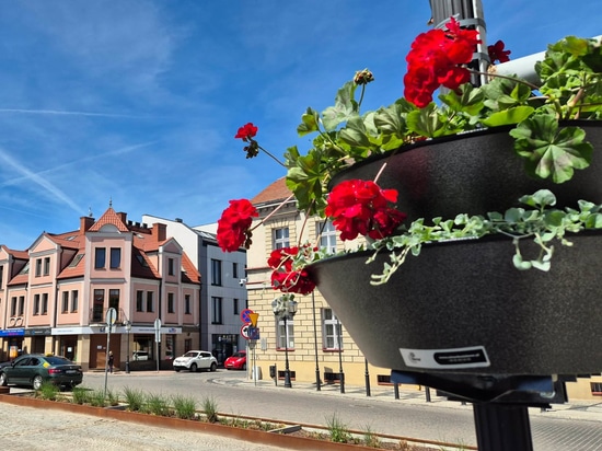 Les tours fleuries dans les espaces urbains : l'exemple de Konin