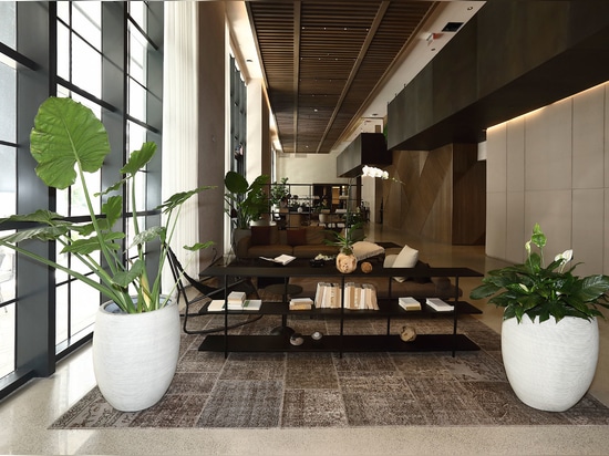 Gale Miami | Collection de tapis MeatPacking