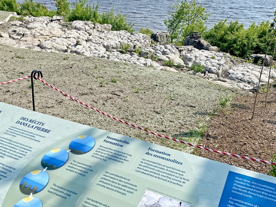 Westboro Beachfront : Une Conception Sensible ancrée dans le site établit une nouvelle référence pour l’aménagement des fronts d’eau au Canada.