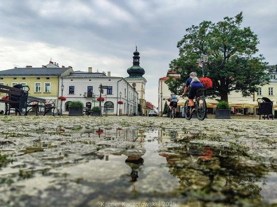 Végétation urbaine et identité de la ville : l'exemple de Krosno