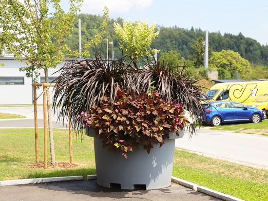 Grandes jardinières urbaines : l'exemple de Köflach