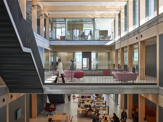 Roberto Rocca Innovation Building : un exemple d’architecture durable au service du bien-être