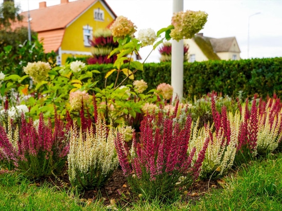 Les tours fleuries en automne : l'exemple de Barwice