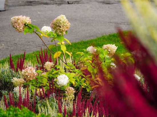 Les tours fleuries en automne : l'exemple de Barwice