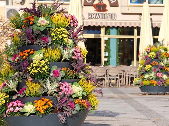 Les tours florales d'automne : l'exemple de Świnoujście