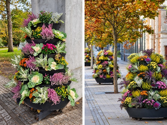 Les tours florales d'automne : l'exemple de Świnoujście