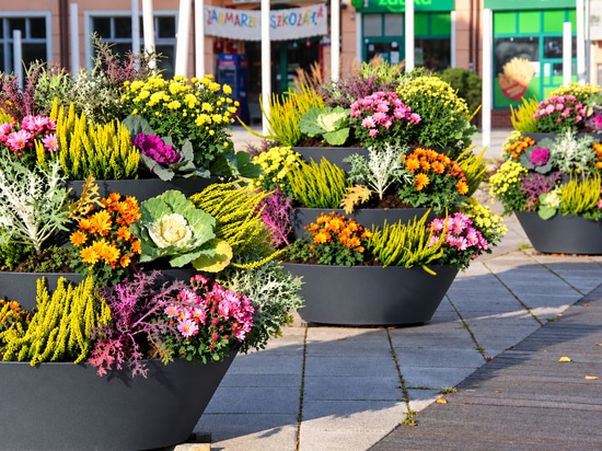 Les tours florales d'automne : l'exemple de Świnoujście