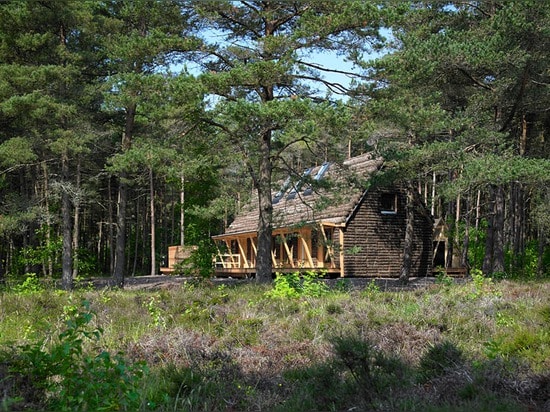 LA MAISON MODERNE D'ALGUE PAR TEGNESTUEN VANDKUNSTEN