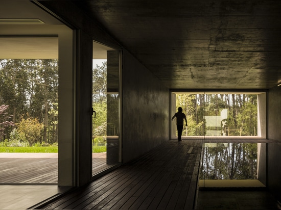 LA MAISON DE LIÈGE DE COLLINE PAR CONTAMINAR ARQUITECTOS