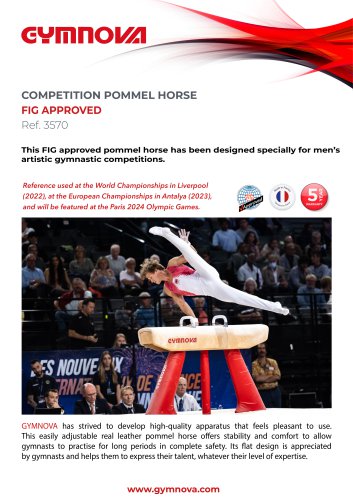 POMMEL HORSE