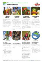 Piccolo 1 Forestic (avec toit) - 3