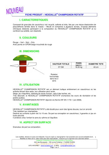 CHAMPIGNON ROTATIF