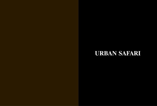 Urban Safari