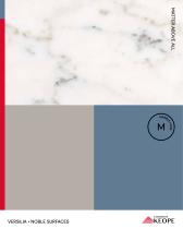 CATALOGO VERSILIA-1