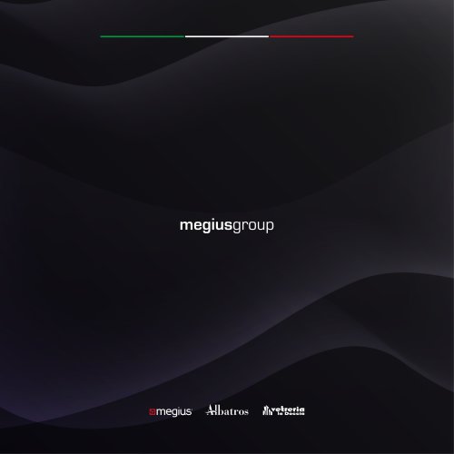 COMPANY PROFILE 2025 MEGIUS GROUP