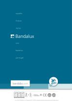 Stores Enrouleurs ARION XXL - 10