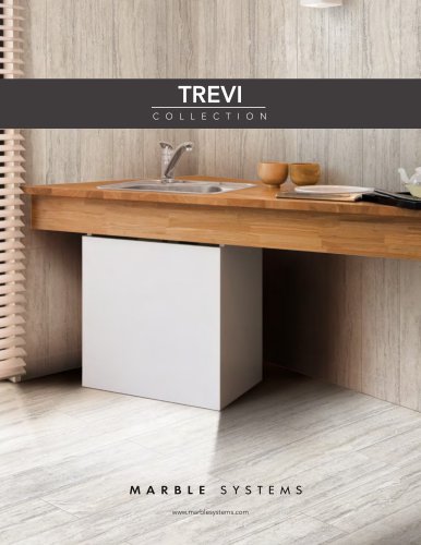 TREVI PORCELAIN TILE