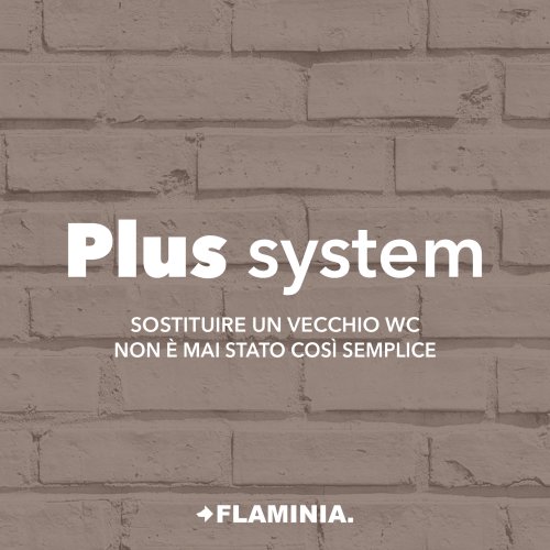 Plus System