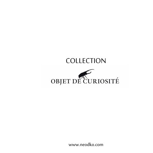 Collection Objet de Curiosité