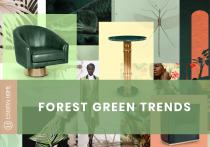 Forest Green Trends