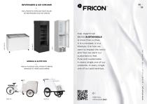 Product Flyer FRICON