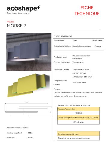 Morse3