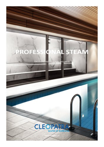 PROFESSIONAL STEAM ROOMS