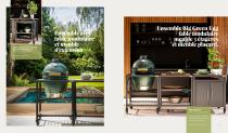 Big Green Egg - 9