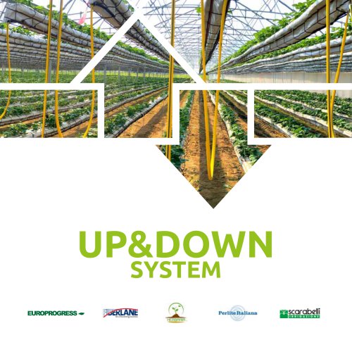 UP & DOWN SYSTEM