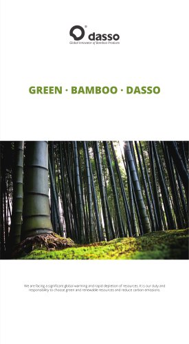 Flyer | Green·Bamboo·Dasso