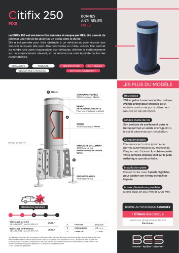 CITIFIX 250 Borne fixe anti-bélier