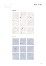 CERAGNI | Catalogue - 27
