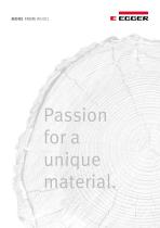Company Brochure