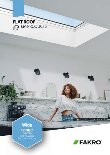 Flat roof windows