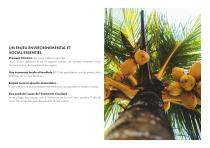 CATALOGUE NUTS -2